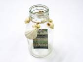 Glass bottle with shells - H15cm*