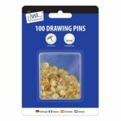 Pkt100 drawing pins.*