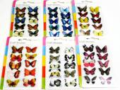 Pkt 10, craft butterflies - 6asstd*