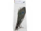 Pack 3, peacock feathers*