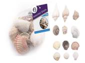 150g bag assorted shells* 150g bag assorted shells*