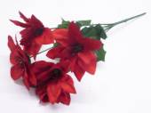 Poinsettia bush with glitter centre* Poinsettia bush with glitter centre*