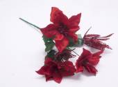 Poinsettia/dragonfly bush* Poinsettia/dragonfly bush*