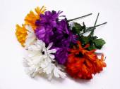 Gerbera bush - 4/cols* Gerbera bush - 4/cols*