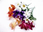 Lily/daisy bush - 4/cols* Lily/daisy bush - 4/cols*