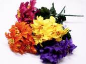 Carnival zinnia bush - 4/cols* Carnival zinnia bush - 4/cols*