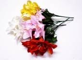 Lily bush - 4/cols* Lily bush - 4/cols*