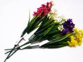 Spring grass and blossom bush - 4/cols* Spring grass and blossom bush - 4/cols*