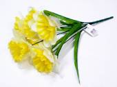 Daffodil bush*