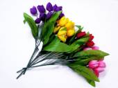 Tulip bush - 4/cols* Tulip bush - 4/cols*