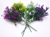 Boxwood bush - 4/cols* Boxwood bush - 4/cols*