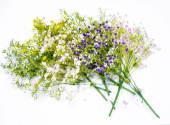 Gypsophila bush - 6/cols*
(BL-1177) Gypsophila bush - 6/cols*
(BL-1177)
