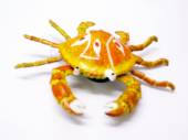 Shaking crab magnet (10cm) -