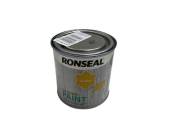 Ronseal garden paint 250ml*
SUNDIAL