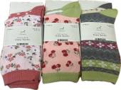 Pack 2, ladies cotton rich socks - 3/asstd. Pack 2, ladies cotton rich socks - 3/asstd.