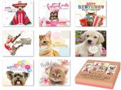 Box 8, pets happy birthday cards*