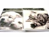 Lge square note cards, cats/dogs,(5.5\"x5.5\"), pkt8, 2designs,+envelopes.*... Lge square note cards, cats/dogs,(5.5"x5.5"), pkt8, 2designs,+envelopes.*...