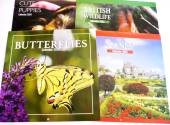 2025 square calendar - asstd designs.