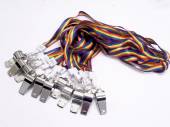 Pack 12, metal whistles with rainbow lanyard. Pack 12, metal whistles with rainbow lanyard.