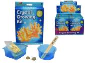Crystal growing kit*
(ADD 12 FOR DISPLAY)