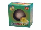 Hatching chicken egg.
(ADD 12 FOR DISPLAY)