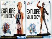 Explore your body - 2asstd*