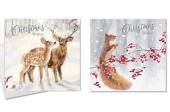 Box 10, square deer/squirrel Christmas cards. Box 10, square deer/squirrel Christmas cards.
