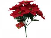Poinsettia bunch. Poinsettia bunch.
