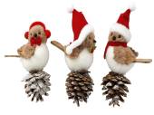 18cm hanging robin on cone decoration - 3asstd. 18cm hanging robin on cone decoration - 3asstd.