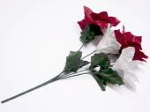 Poinsettia/lily bush* Poinsettia/lily bush*