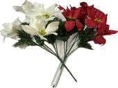 5-head poinsettia bush - 2/cols*
