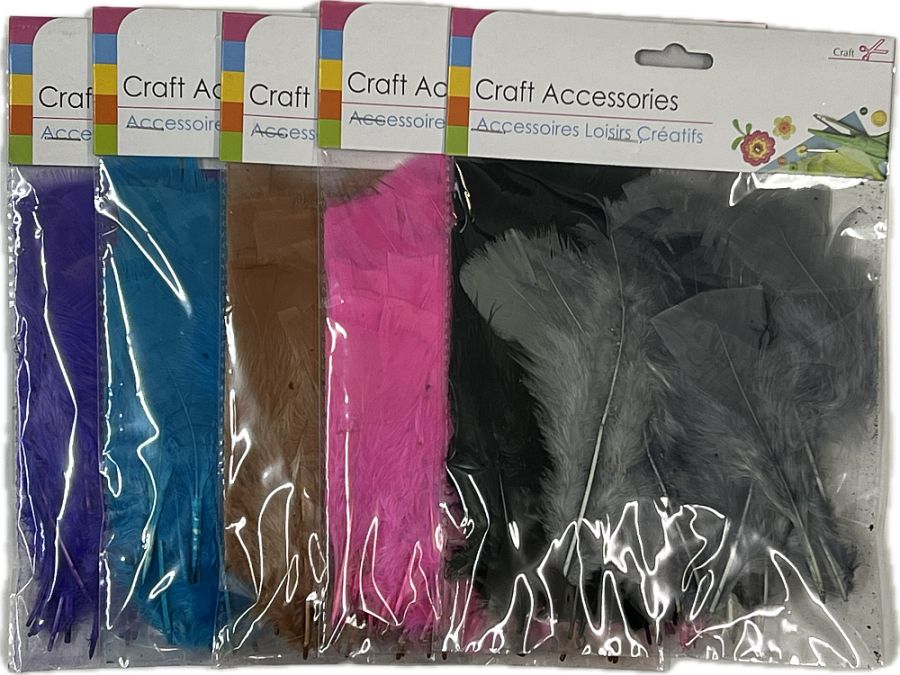 Coloured craft feathers.
