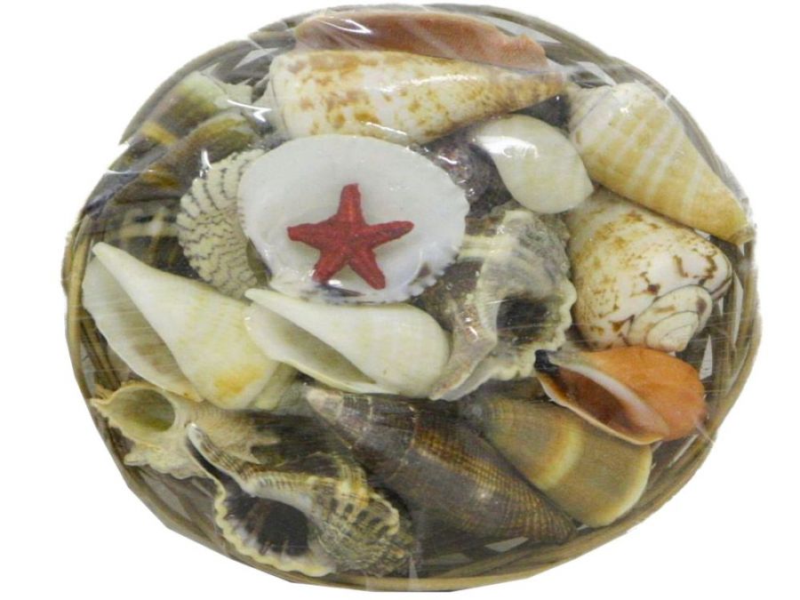 4" shell basket*