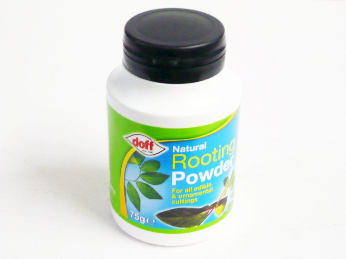 Natural rooting powder (75g)*