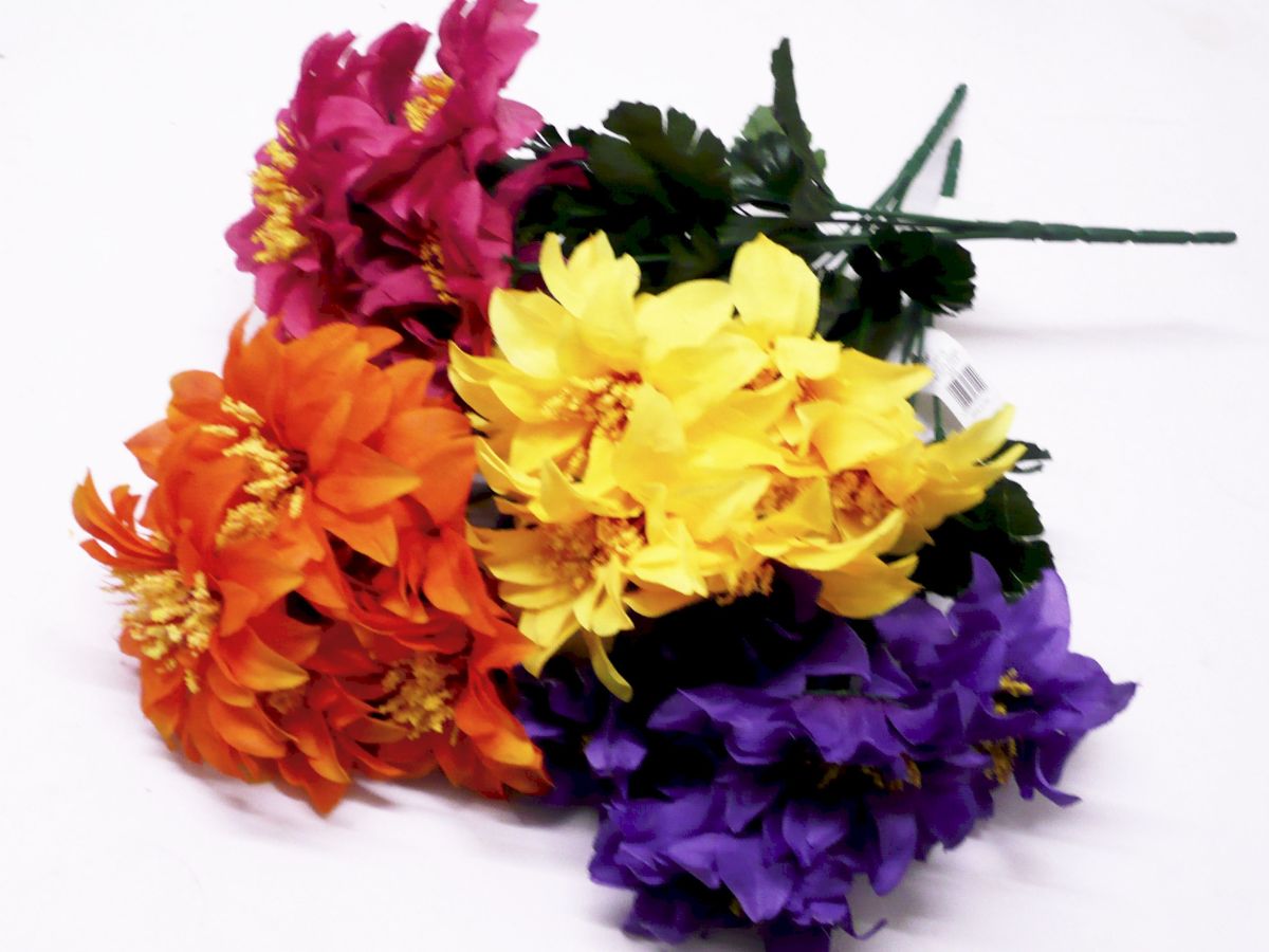 Carnival zinnia bush - 4/cols*