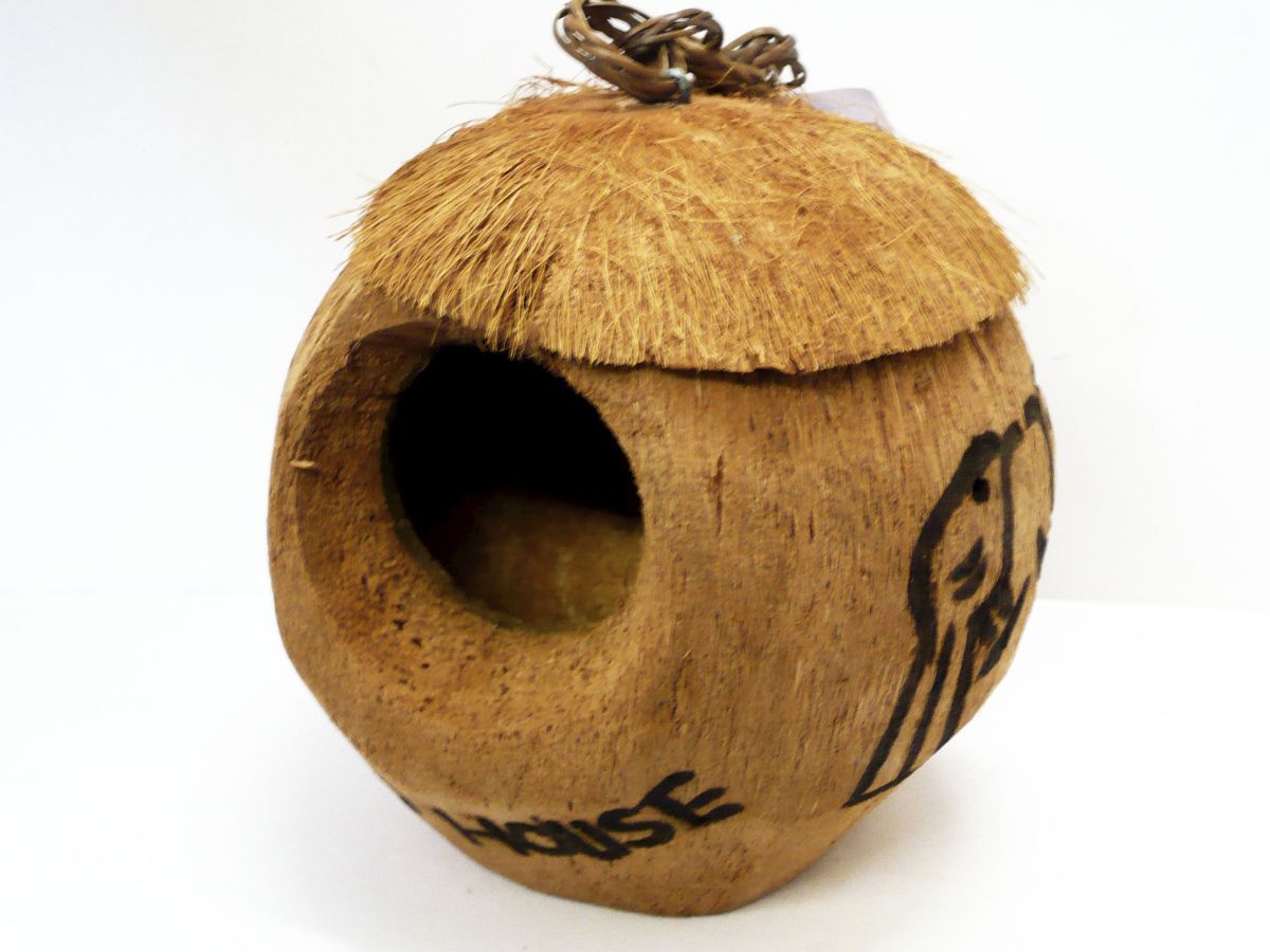 Coconut bird house