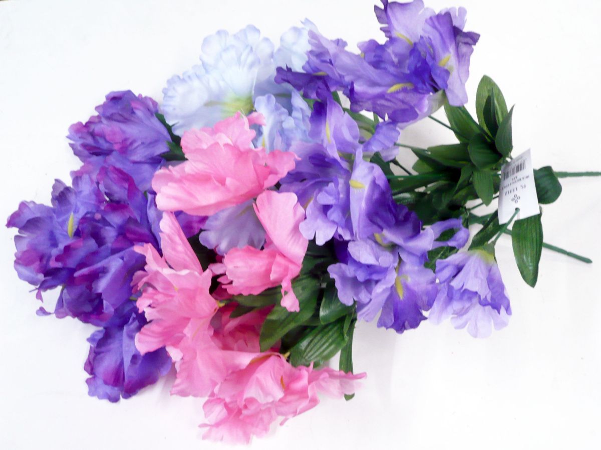 Iris bush - 4/cols*
(FL13312)