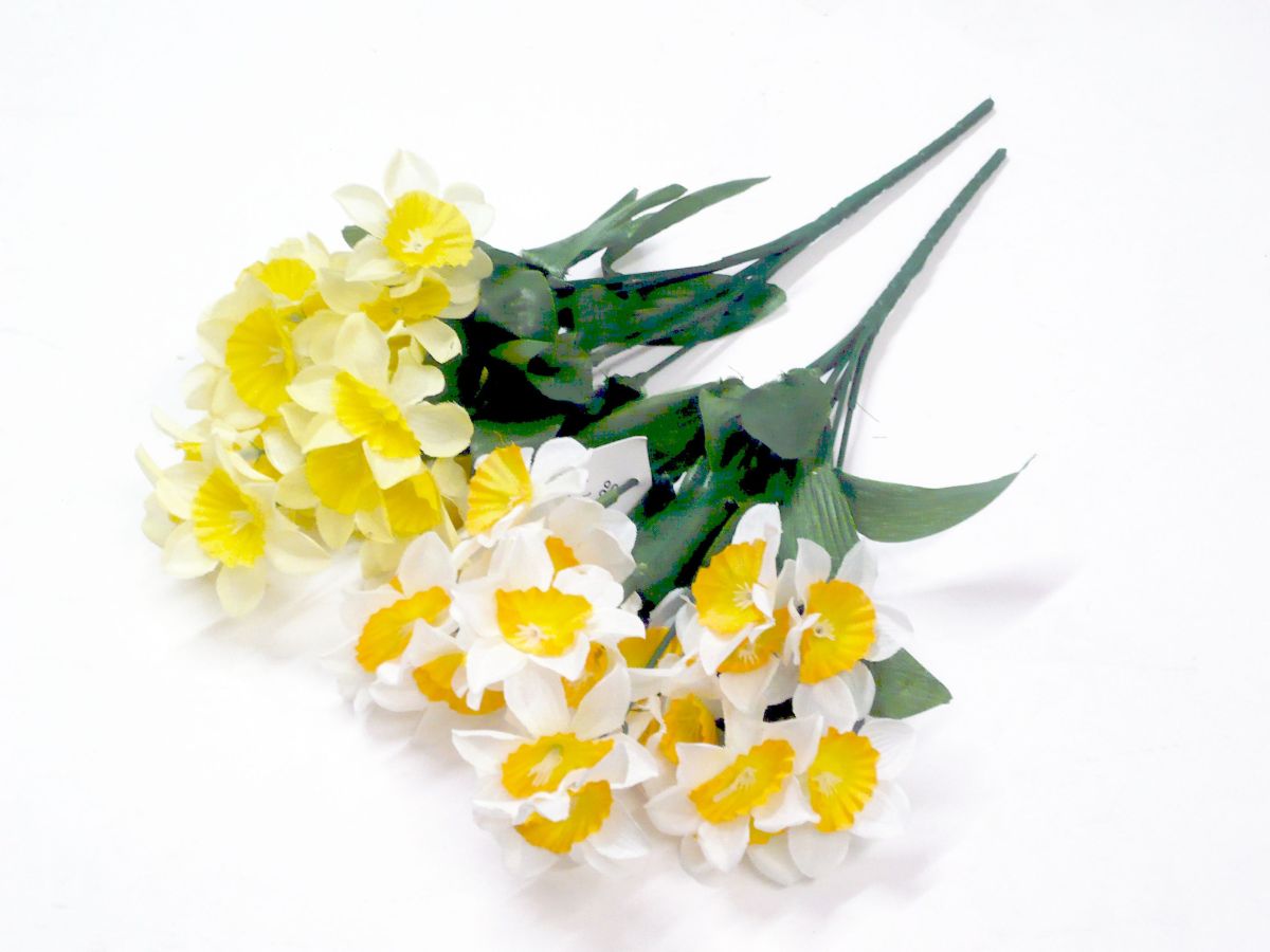 Narcissus bush - 2/cols*