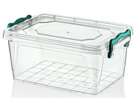 0.6ltr Rectangle clip box 
(16.5x11x6.5cm)*