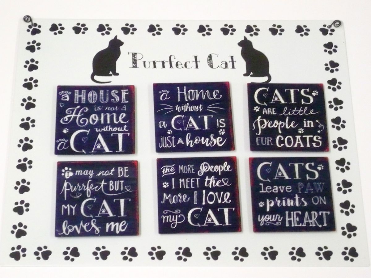 Metal cat magnet, 7x7cm (36x display) - 6asstd*