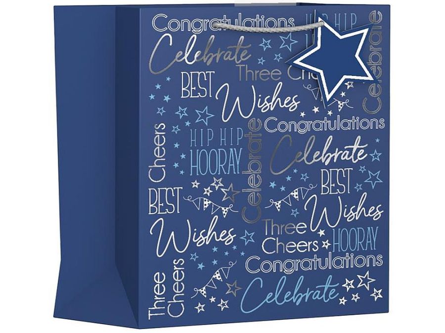 Pack 6, blue text MEDIUM gift bags (26x21x10cm)