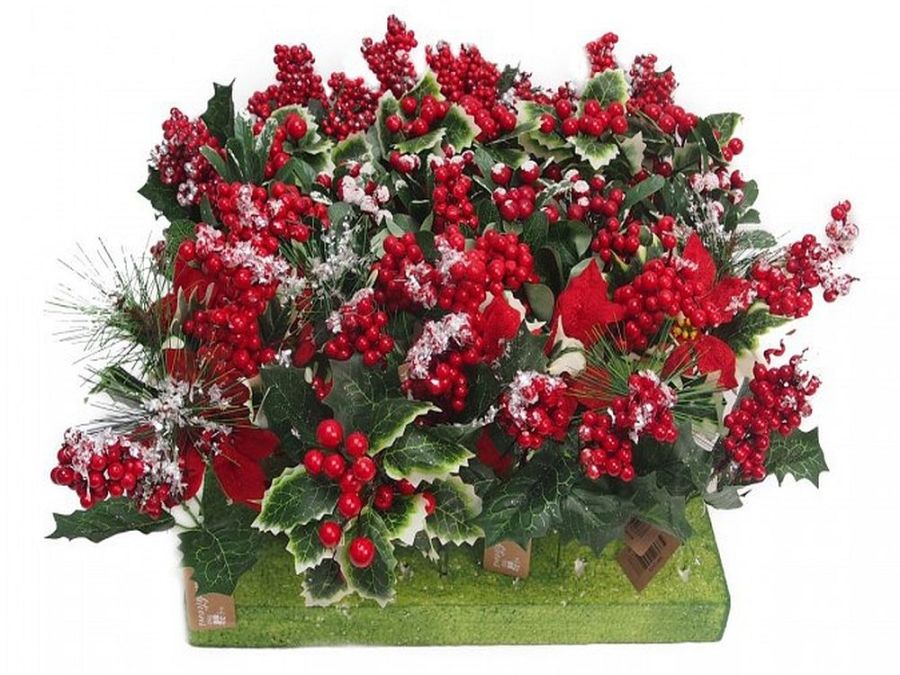 Holly and berries pick.