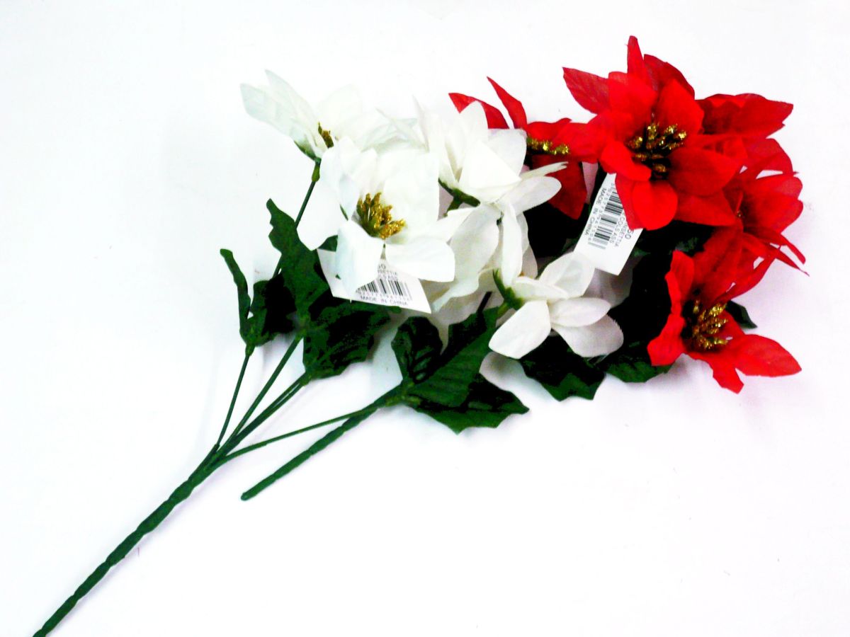 Pongee poinsettia bush - 2asstd*