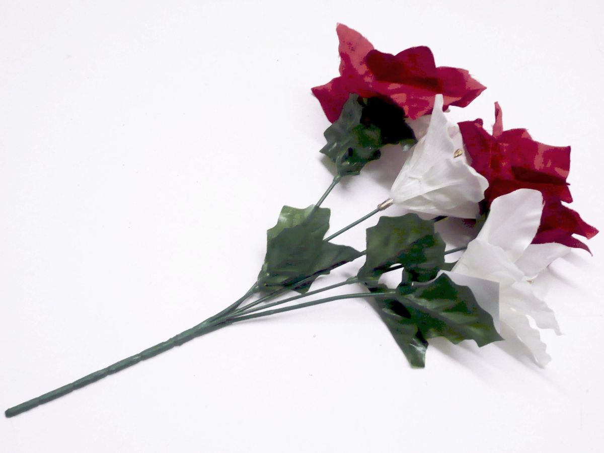 Poinsettia/lily bush*
