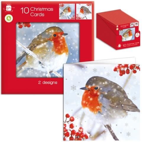 Pack 10, robins Christmas cards.